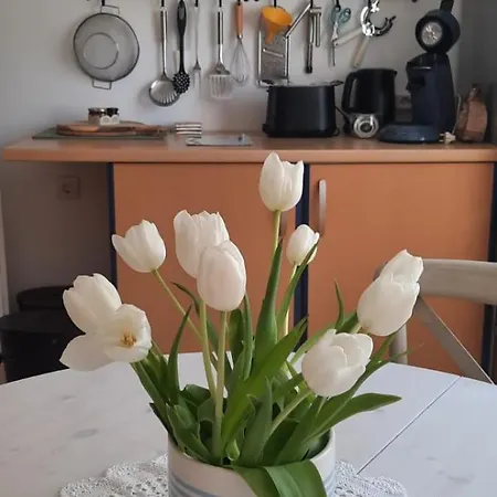 Charmante Nahe Heidelberg In Meckesheim, Inkl Parkplatz & Wlan Apartment Meckesheim