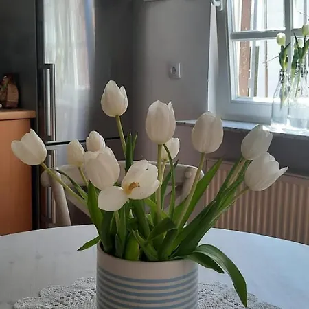 Apartment Charmante Nahe Heidelberg In Meckesheim, Inkl Parkplatz & Wlan